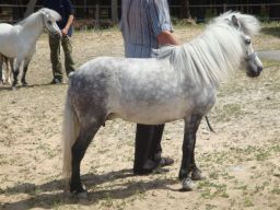 exp-zr-2009 903